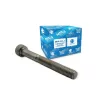 TORNILLO ALLEN M6