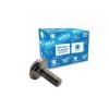 TORNILLO ALLEN ESPECIAL