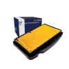 Elemento Filtrante / Filtro De Aire Italika 250z