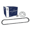 Kit De Sprock Engrane Y Cadena Ft150 Forza 150 F0203ks11