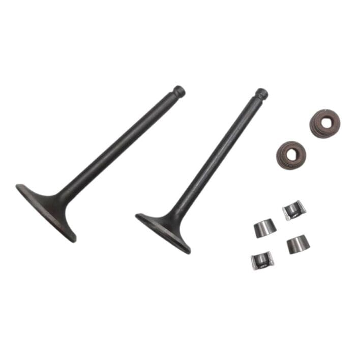 Kit De Válvulas Atv150 Ds150 Trn150 Ws150 175 Modena 175 - Imagen 4