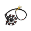 Estator 8 Bobinas Dm150 Sport, Dm125, Dm250x Dm250 - Imagen 2