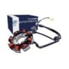 Estator 8 Bobinas Vortx 200 Original Nuevo