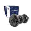 Conjunto Eje Secundario De Transmisión 250z E06020042