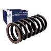 Resorte embrague VX250 Italika Original