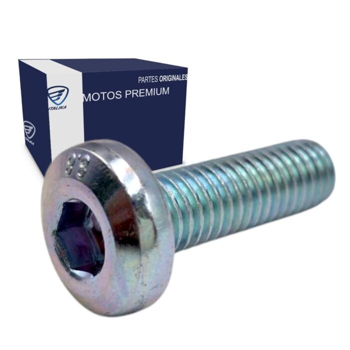 Tornillo Disco De Freno M8x25 Motonetas DS150 Italika Original