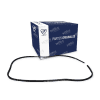 Empaque Caja Porta Equipaje Italika V200 Vx250