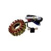 Estator Completo Bajaj Maxima C/z Original - Imagen 4