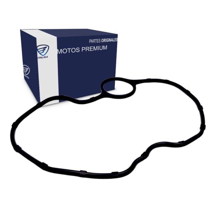 Empaque Cubierta Cabeza Cilindro Dm250 Italika Original