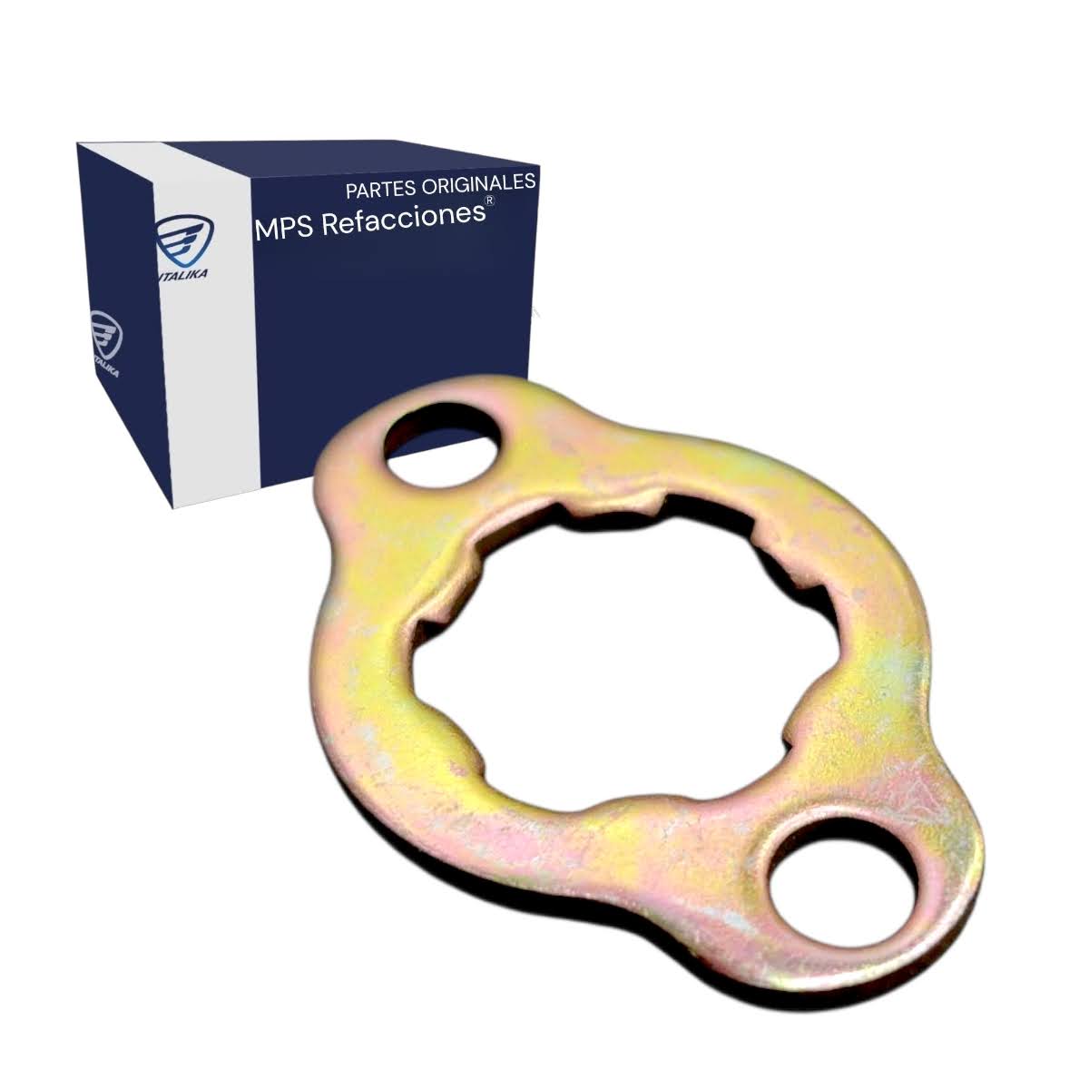 Placa sujetadora DM300 Italika Original